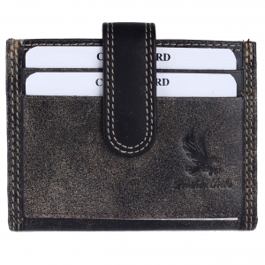 Card Case (Dardy)